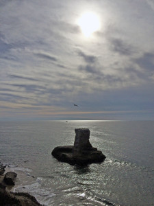 sea_monument_at_wilder_ranch